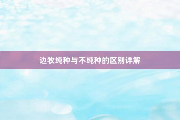 边牧纯种与不纯种的区别详解