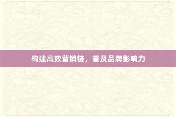 构建高效营销链，普及品牌影响力