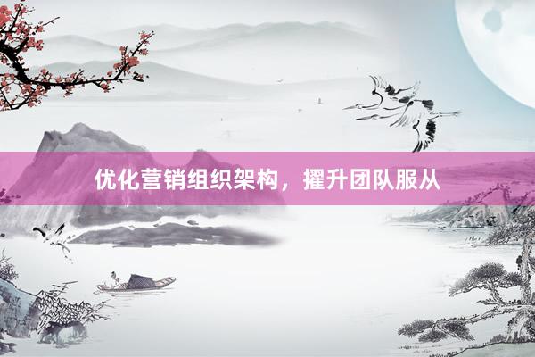优化营销组织架构，擢升团队服从